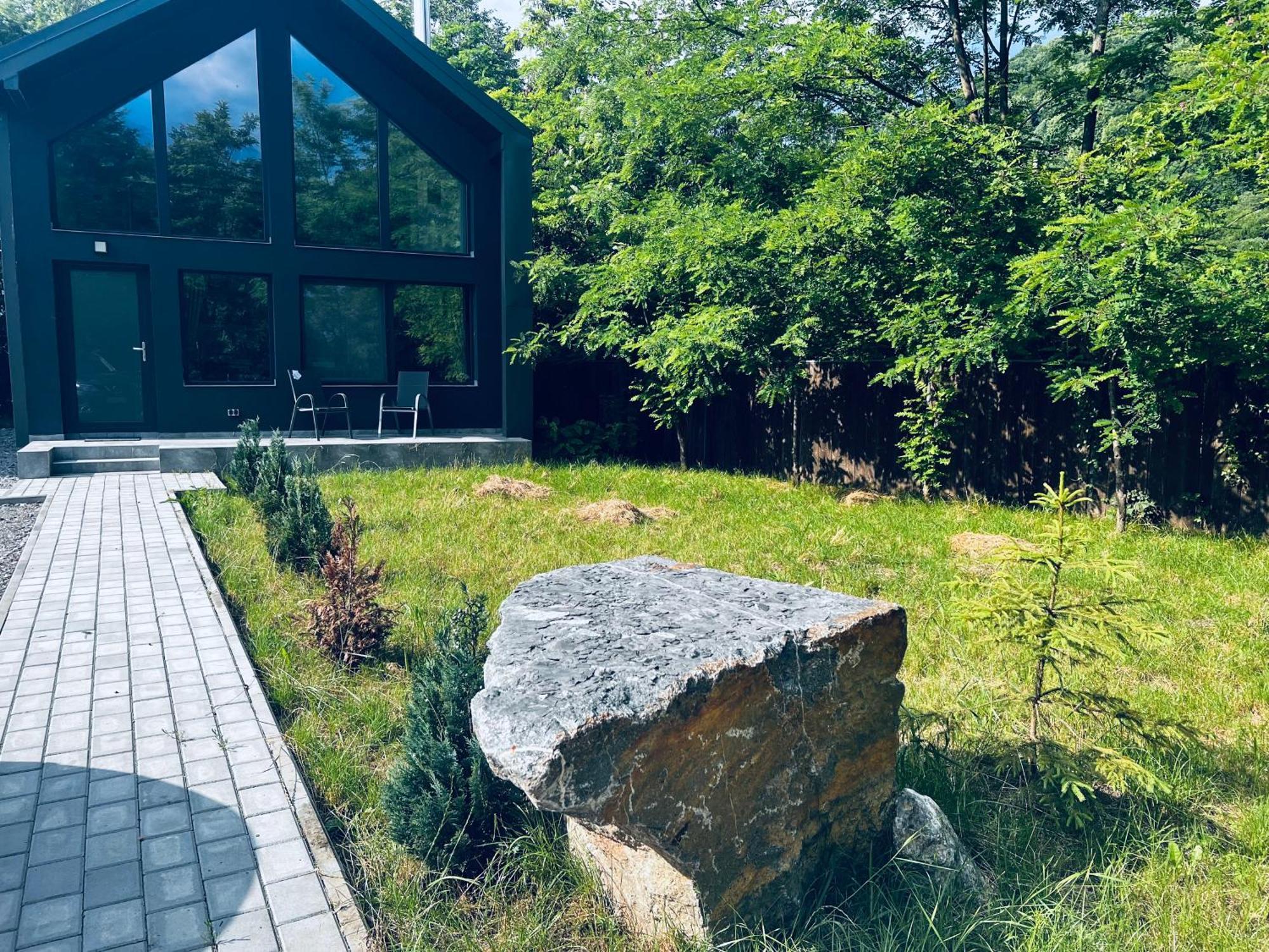 Villa Oxigen Dream Rîşnov Exterior foto